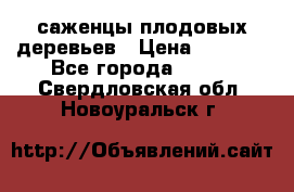 саженцы плодовых деревьев › Цена ­ 6 080 - Все города  »    . Свердловская обл.,Новоуральск г.
